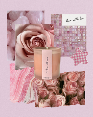 Velvet Bloom